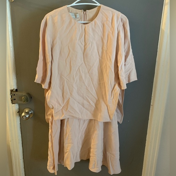 Stella McCartney Winnet Blush Pink Dress - Picture 4 of 8